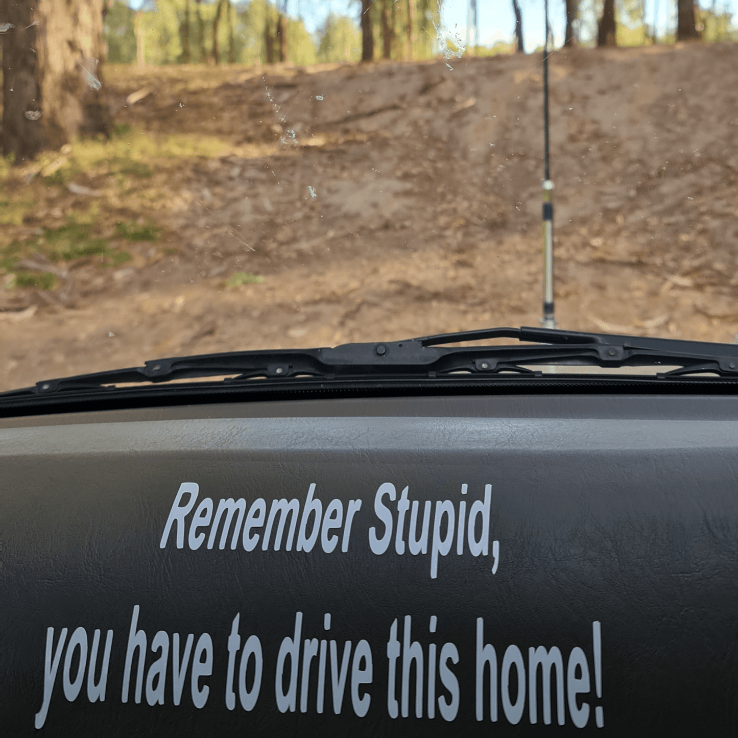 
                  
                    Remember Stupid Vinyl sticker
                  
                